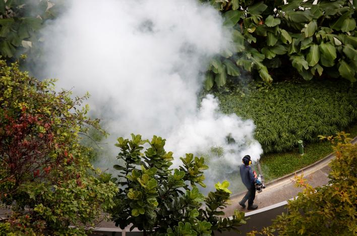 Singapore confirms 41 cases of locally transmitted Zika virus 